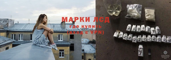 СК Горнозаводск