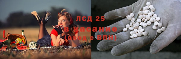 СК Горнозаводск