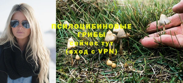 СК Горнозаводск