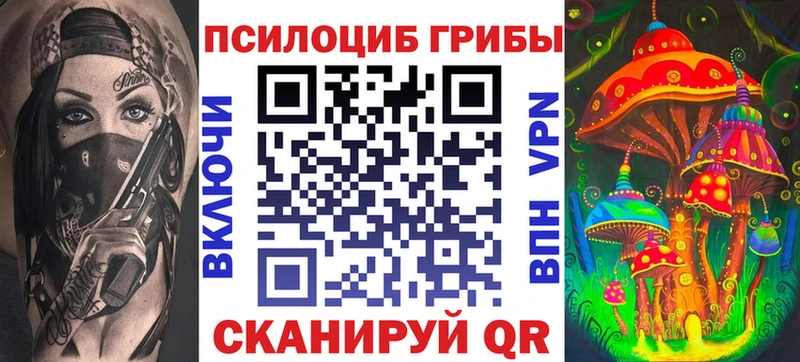 Псилоцибиновые грибы Psilocybe  Купить закладки  Спасск-Дальний 