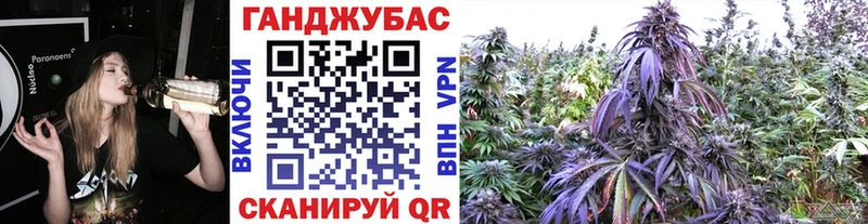 Купить закладки  Спасск-Дальний  Канабис сатива 